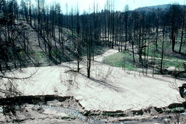 Heavy rains washed easily erodible decomposed granite off the landscape and into waterways after the Buffalo Creek fire in 1996.