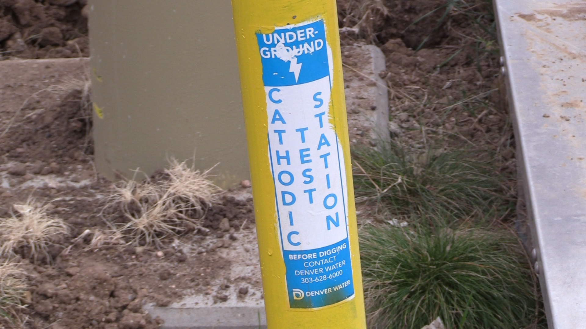 A yellow pipe sticks out of the ground with a blue and white sticker indicating that the its a cathodic test station for Denver Water.