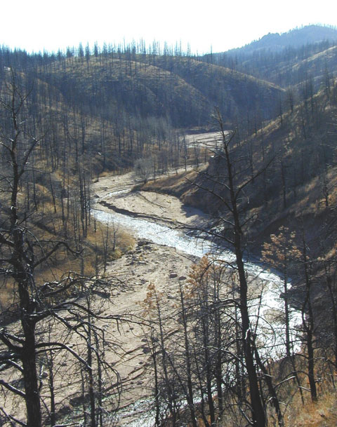 Subsequent rains following the Hayman Fire in 2002 led to erosion problems and silt buildup in the creeks surrounding the reservoir.