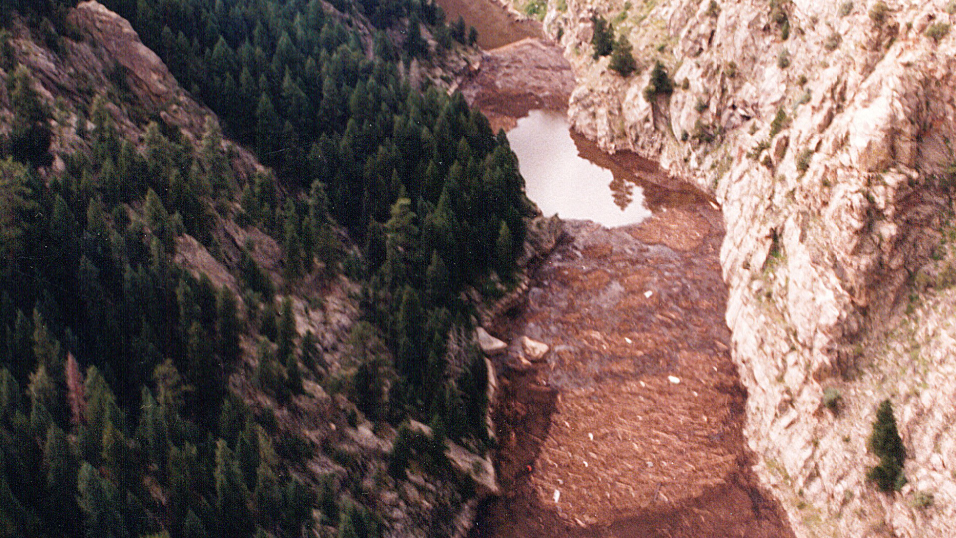 Debris washed into Strontia Springs Reservoir in 1996 after the Buffalo Creek Wildfire.