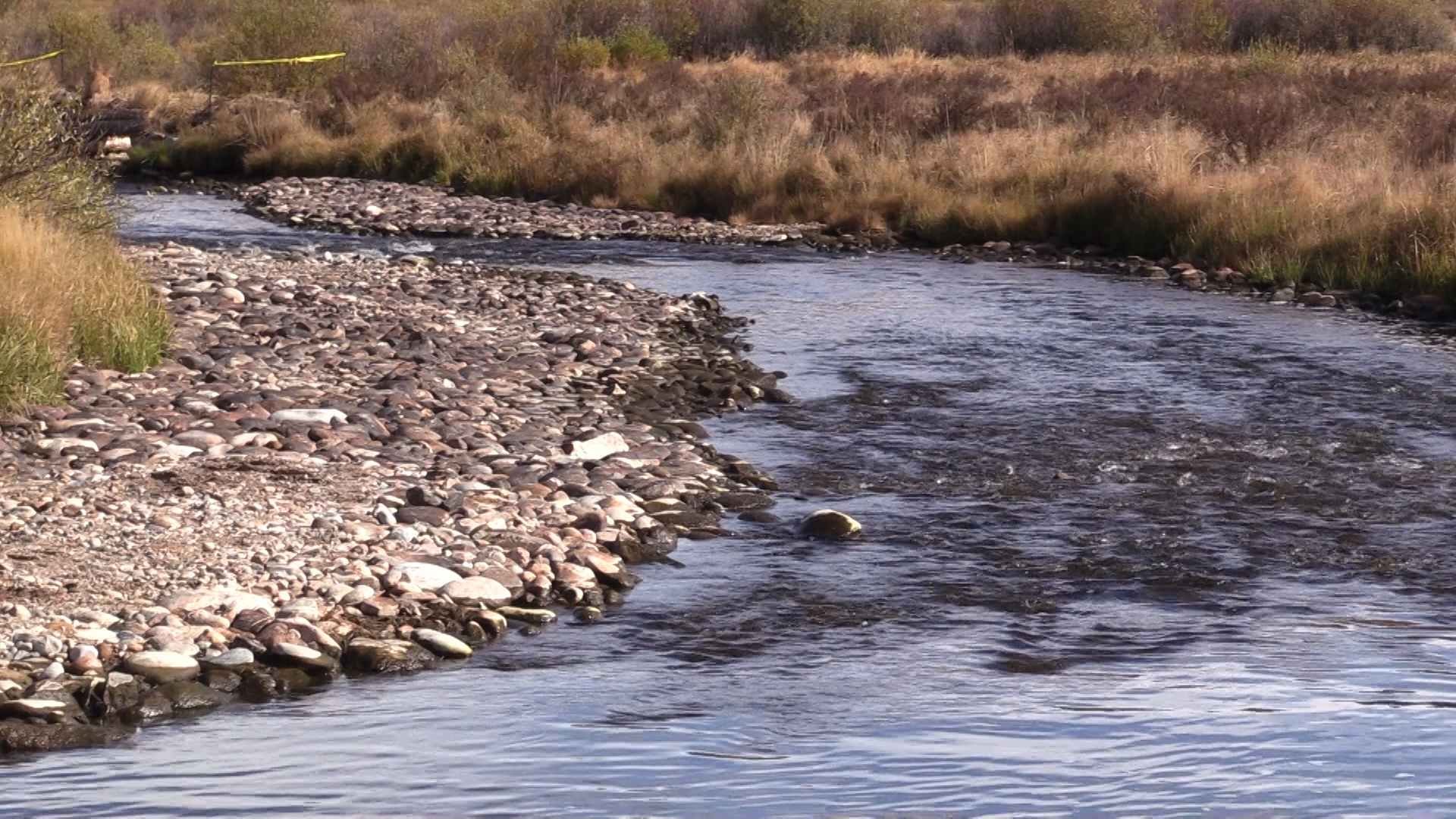 50 rock point bars were installed to channel water into the middle of the river during low-flow periods.