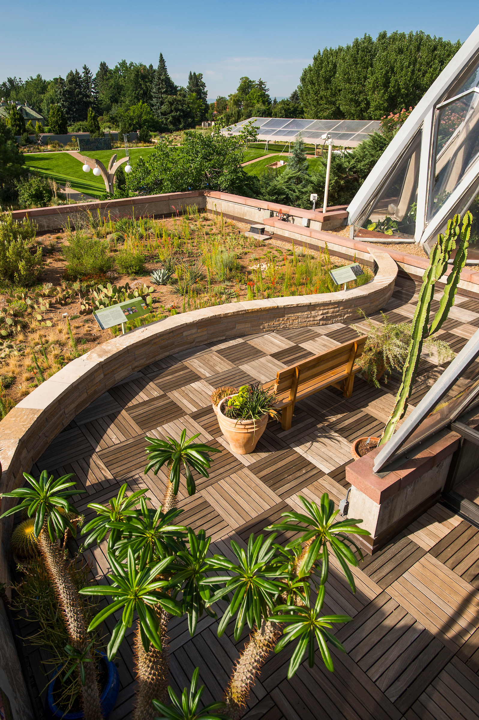 A winding wall bisects the image of a garden on the roof of a building at the Denver Botanic Gardens. The foreground is a patio with planters, grasses and cactus in the background, and lawn in the distance.