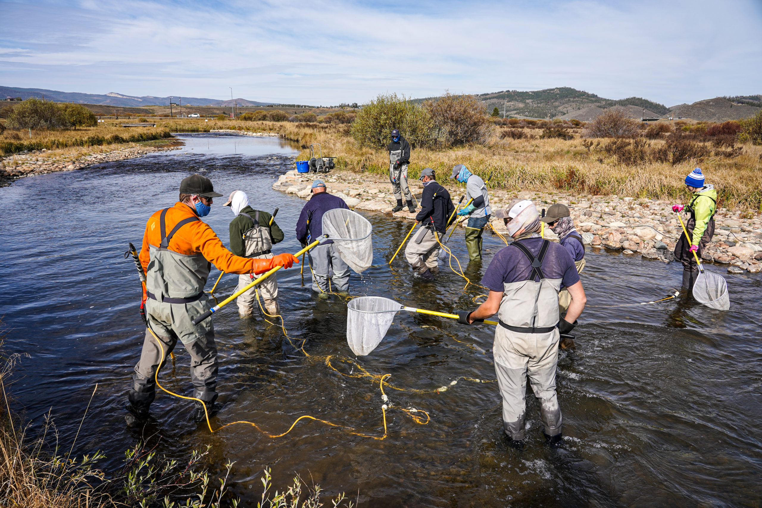Colorado Parks and Wildlife conducts electro-fishing surveys on several rivers and streams in Grand County to check on fish health. The surveys are done at the same time and location each year to monitor trends. Photo credit: Denver Water.