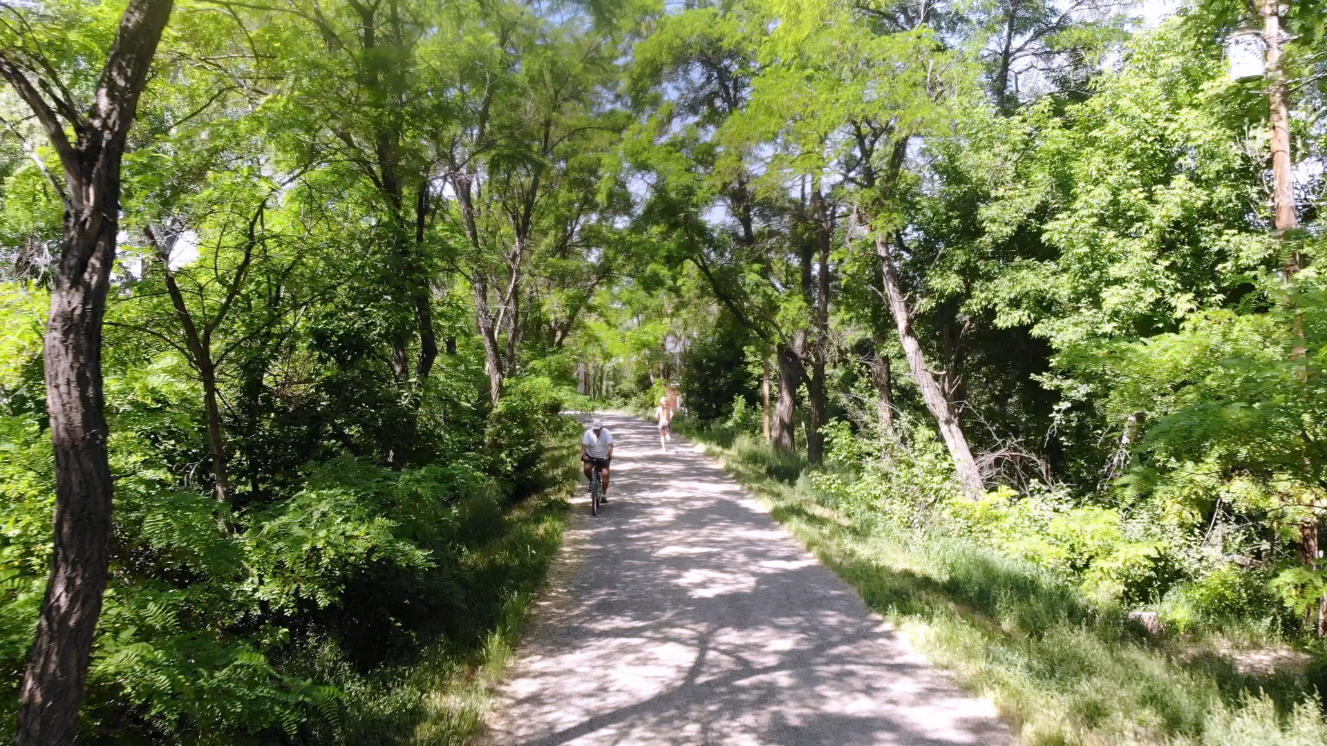 In 2016, about 24,000 trees along the 71-mile High Line Canal corridor were evaluated for safety and tree health conditions.
