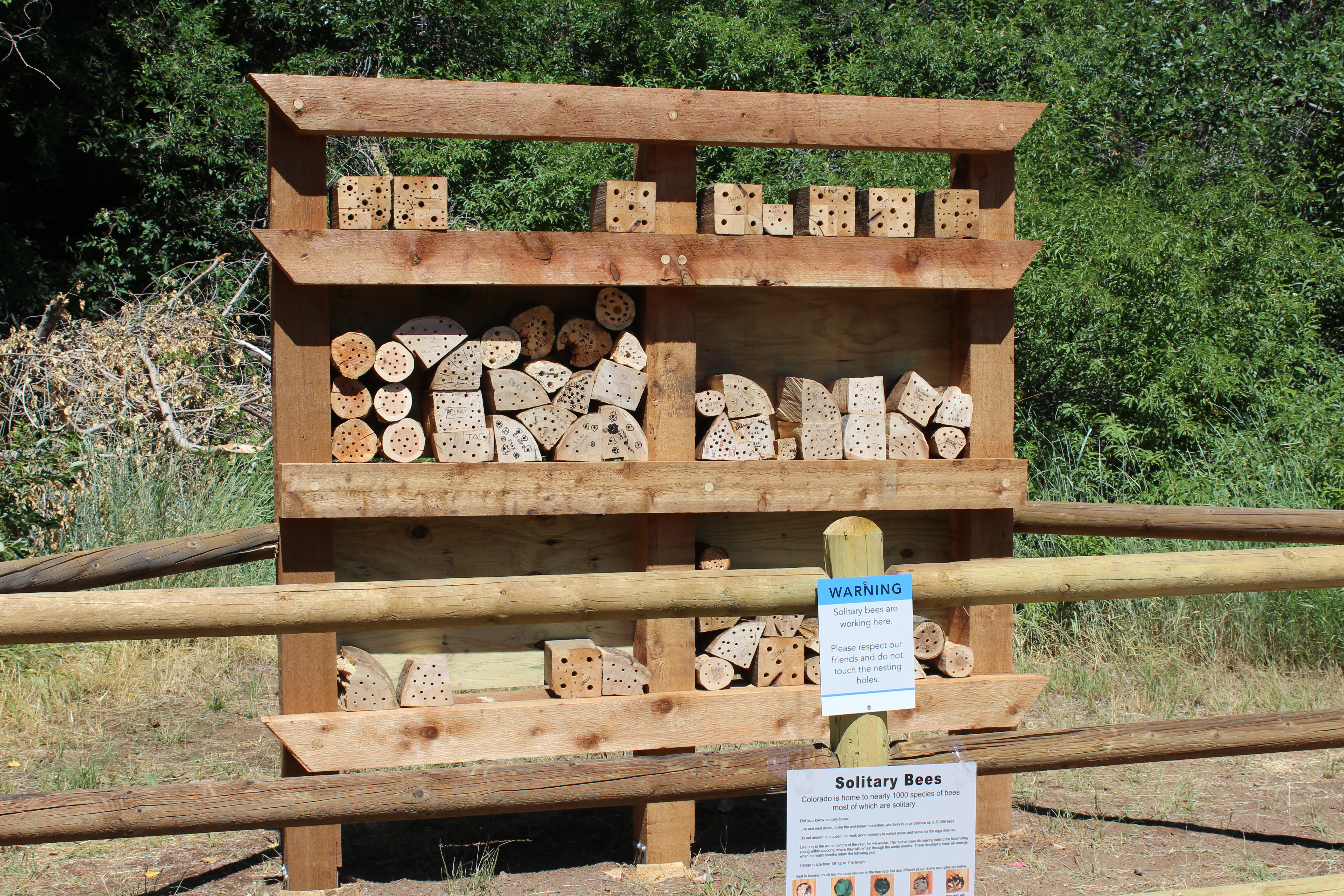 Bee hotel in Waterton Canyon