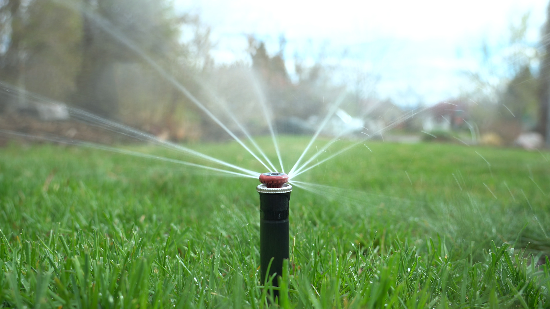 "Cycle and soak" is a watering technique used to break up sprinkler run times to give water time to soak into the ground. Photo credit: Denver Water. 