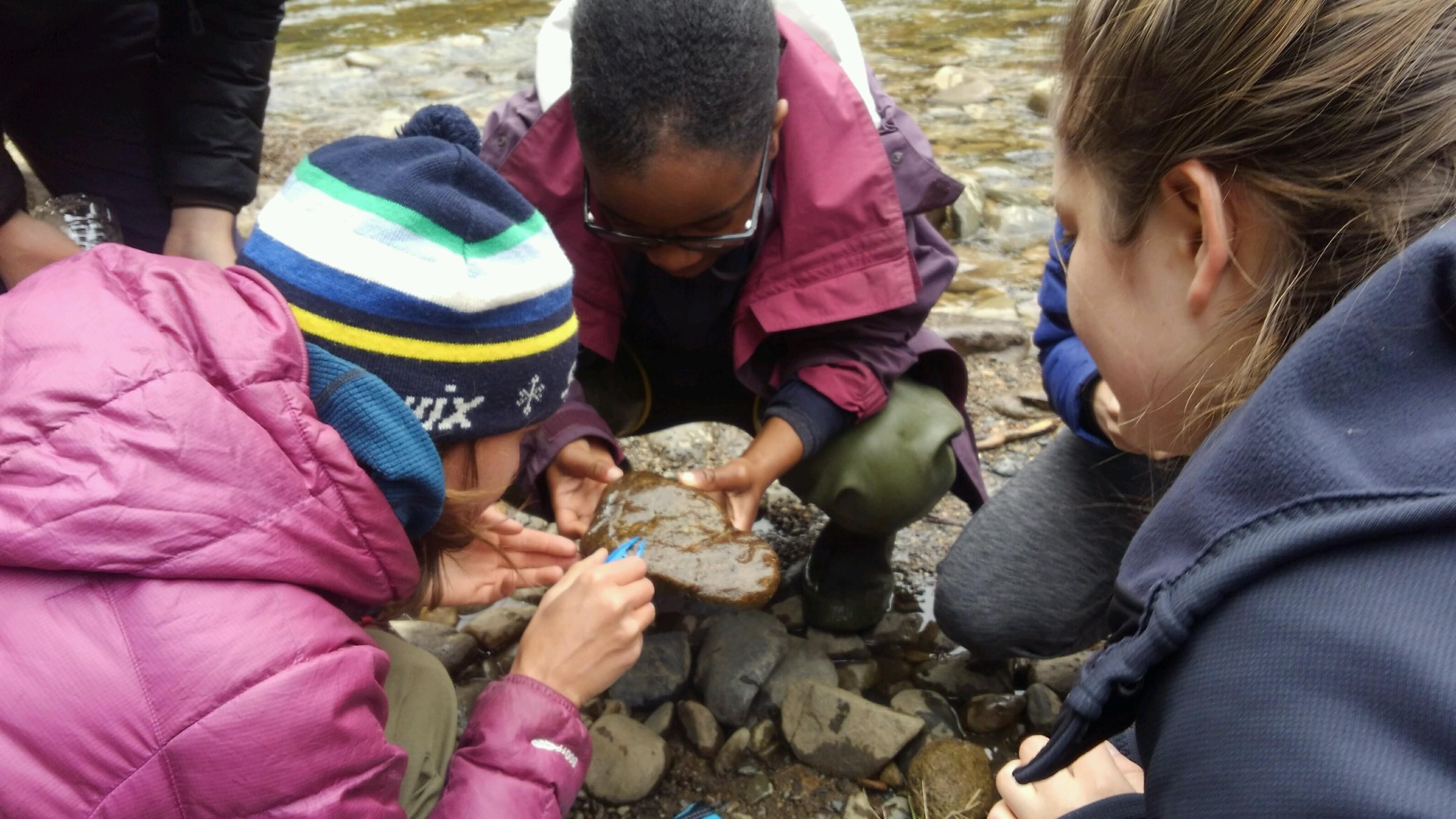Keystone Science School students catch bugs in the Blue River in Silverthorne.