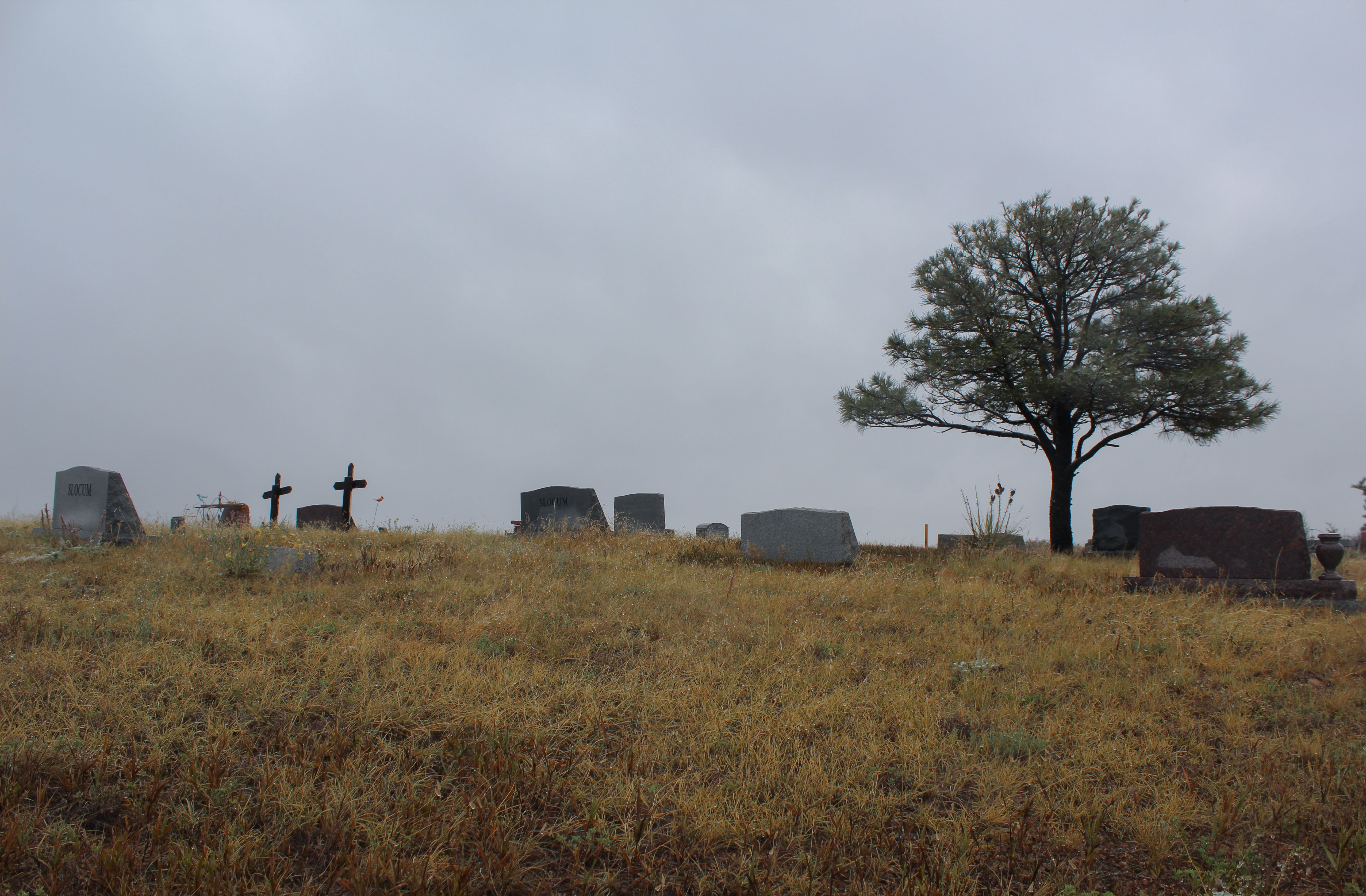 A tree looms over Lehow Cemetery near Waterton Canyon. Many families who worked at Denver Water’s old, now closed, Kassler water treatment plant, have buried relatives in this nearby cemetery.