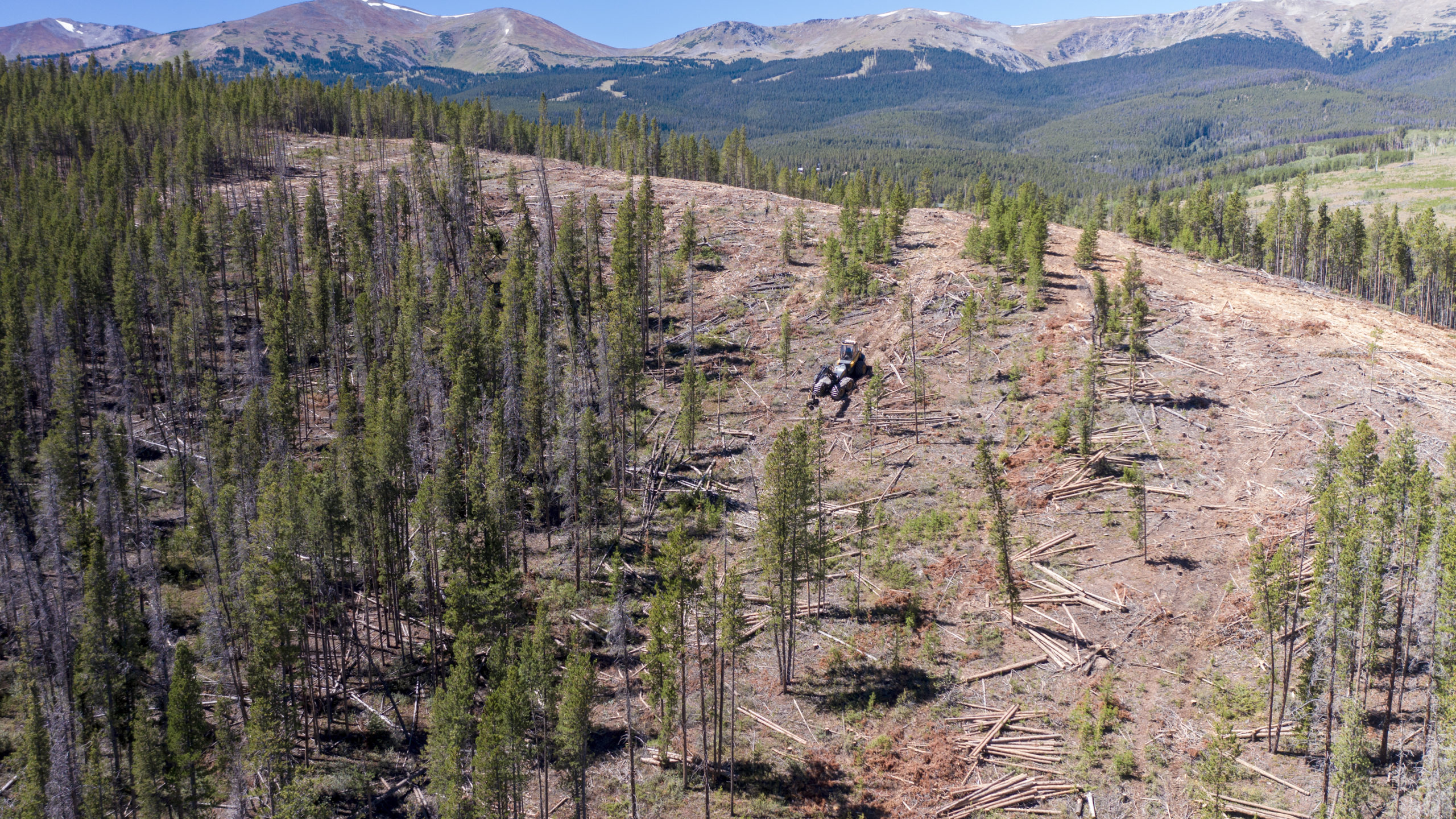 A Ponsse Ergo Harvester remove trees on sleep slopes in the Peak 7 area of Breckenridge, Colorado in August 2020. Photo credit: Denver Water.