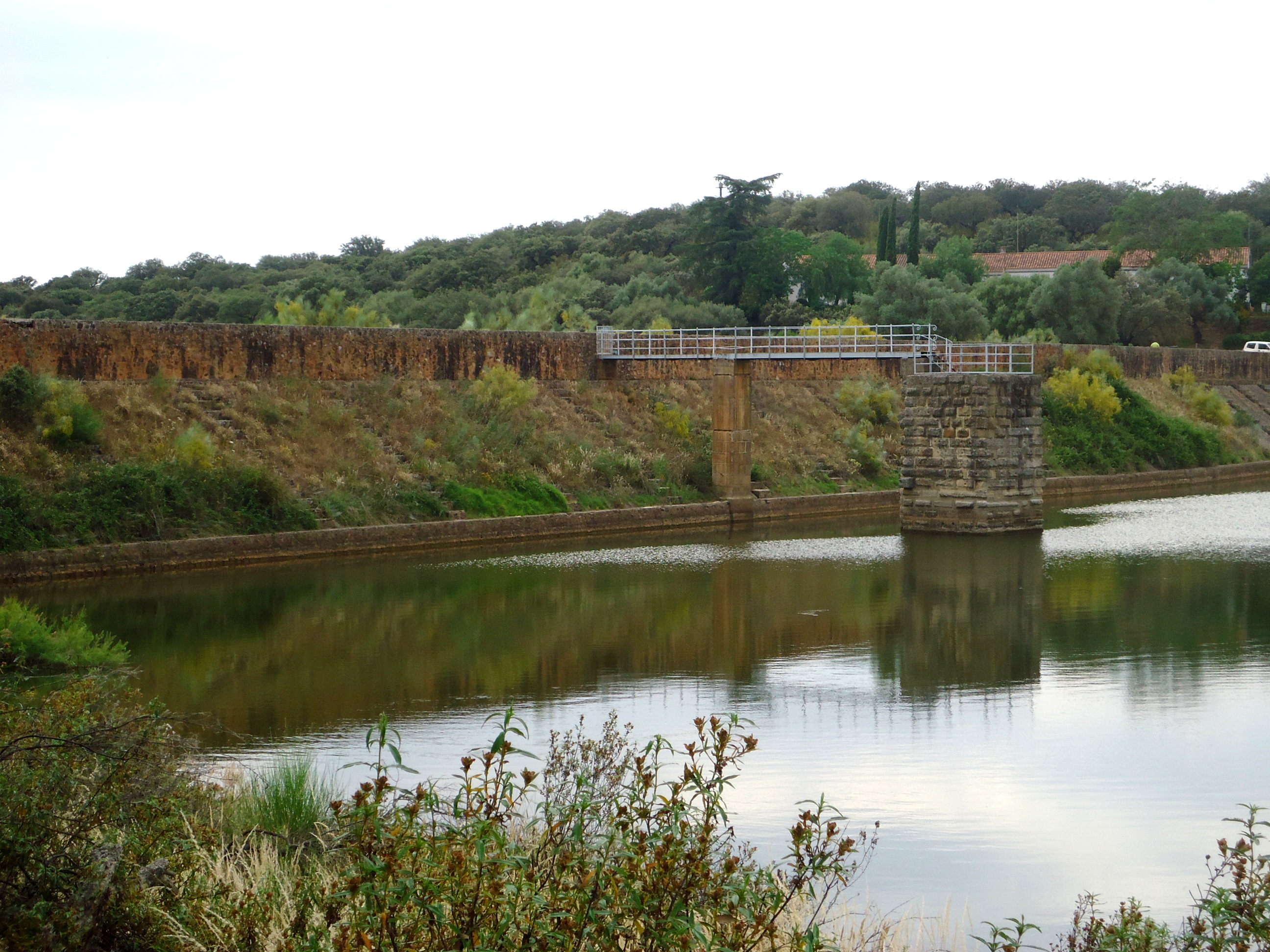 An earthen dam with grass and plants rises above water.