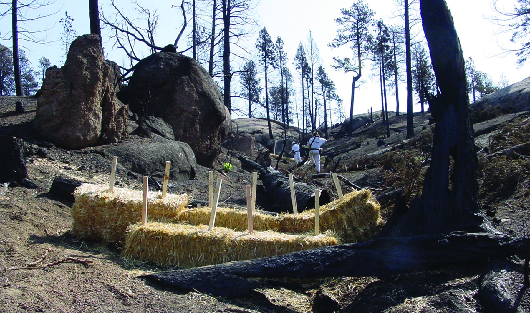 A sediment trap made of straw bales.