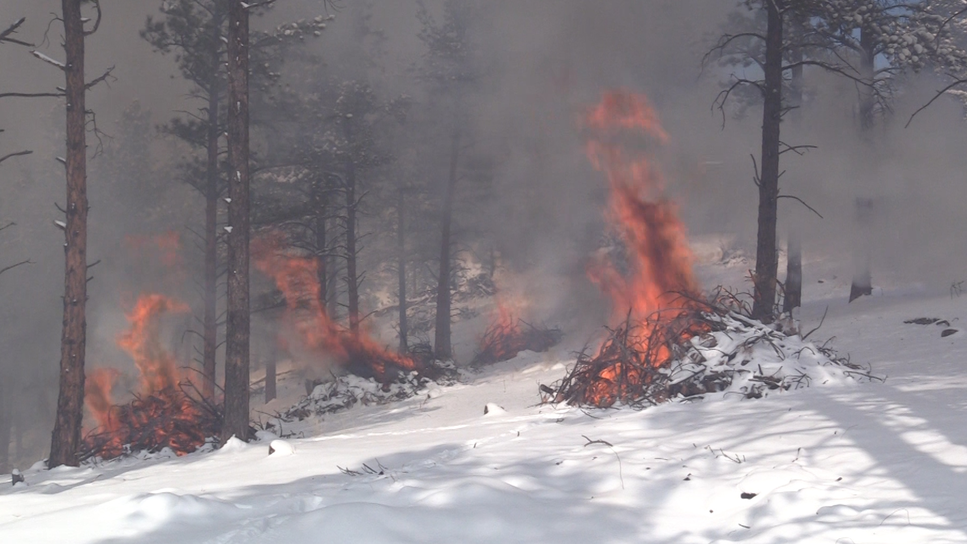 Corps members set 500 slash piles on fire in February.