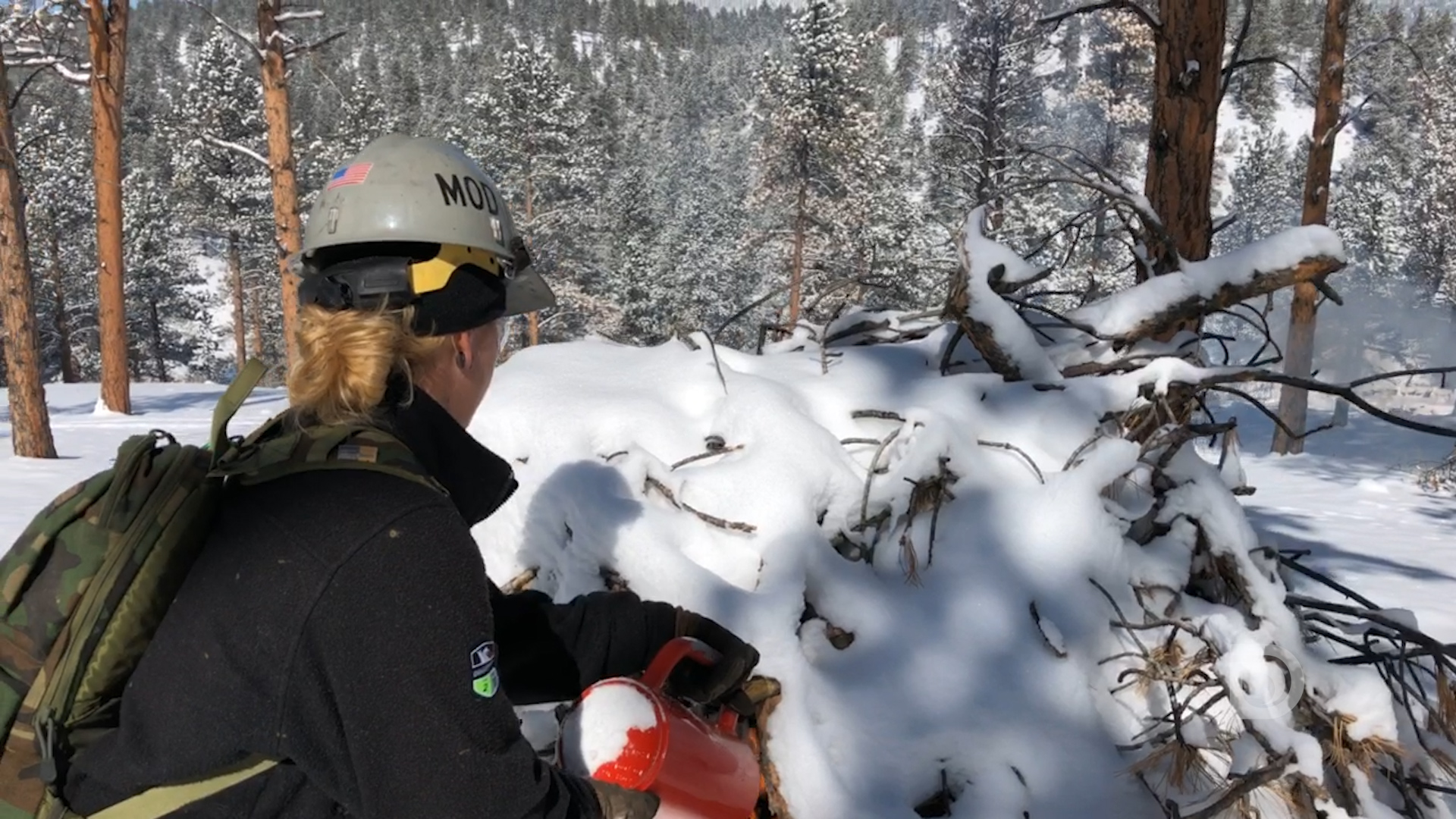 A Mile High Youth Corps member ignites a snow covered pile of branches in the Pike National Forest near Bailey