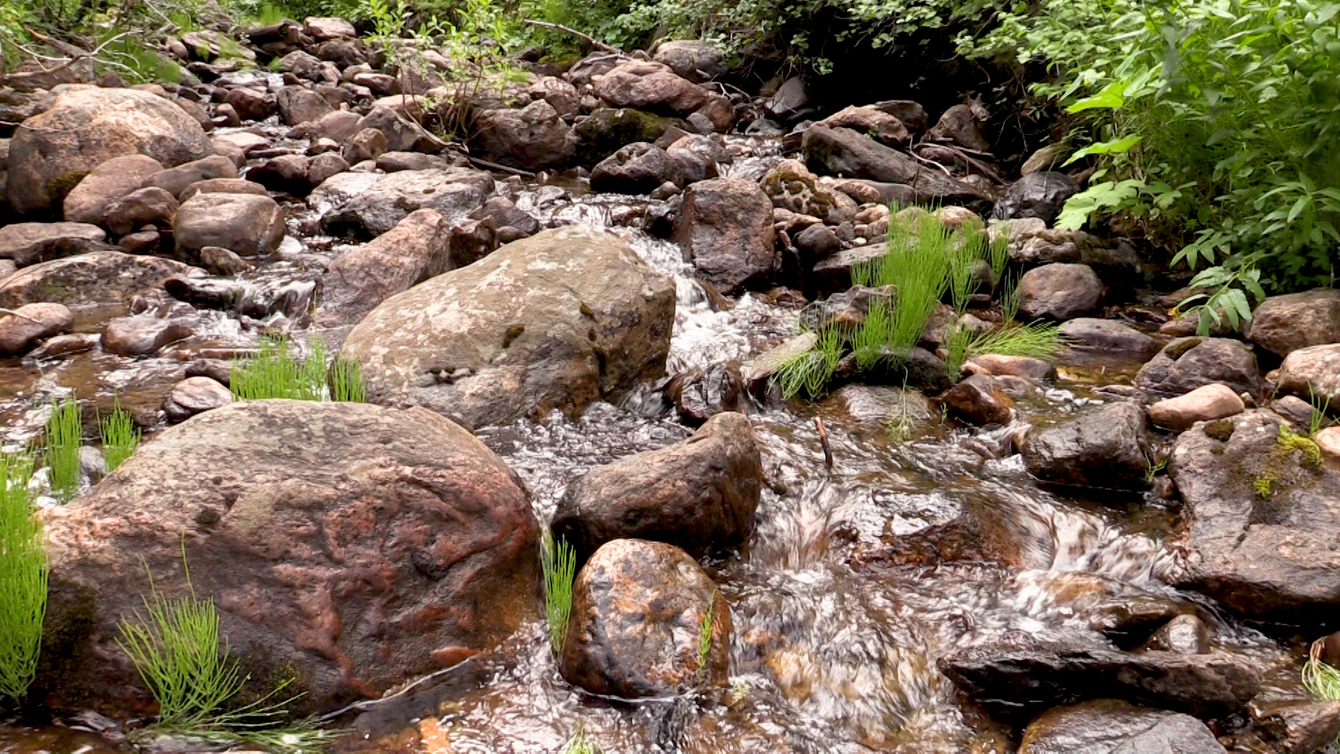 The WISE project helps protect rivers and streams on the West Slope.
