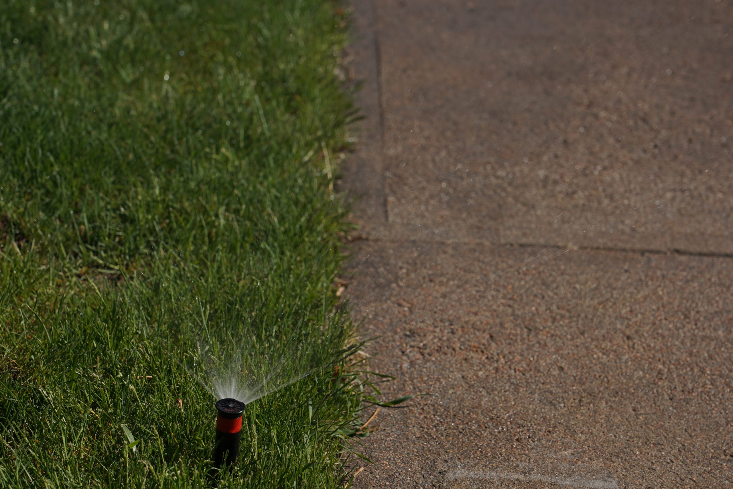 Check to make sure your sprinklers aren't accidentally watering the sidewalk or street. Photo credit: Denver Water.
