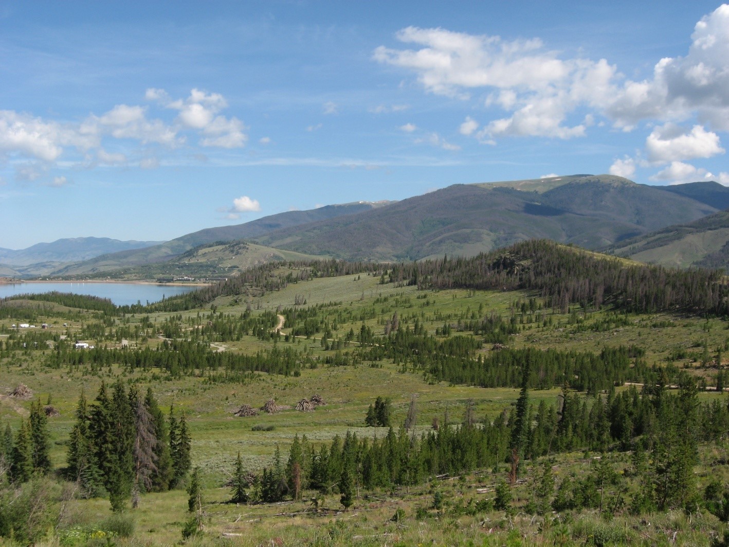 Treated White River National Forest with Dillon Reservoir in the background.