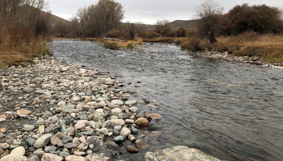 A newly construction "point bar" (left) and cobble lining the opposite bank help direct lower flows to the central channel and can also create depth and pools attractive to fish.