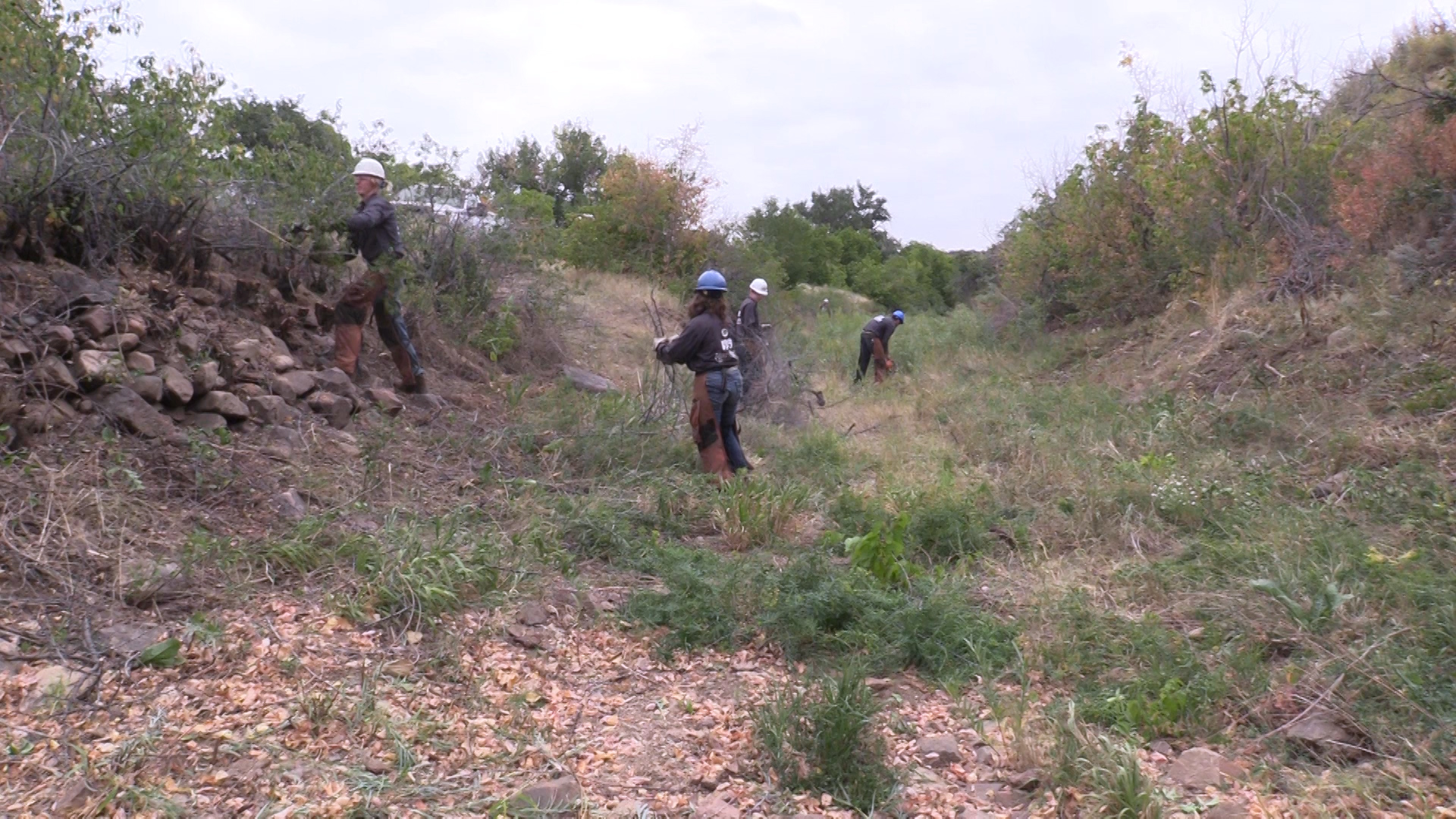 Members of the Mile High Youth Corps remove overgrown vegetation along the High Line Canal in Waterton Canyon.