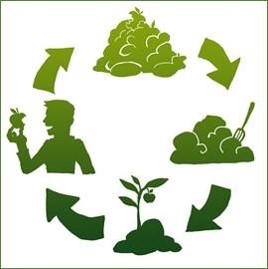 graphic showing compost cycle