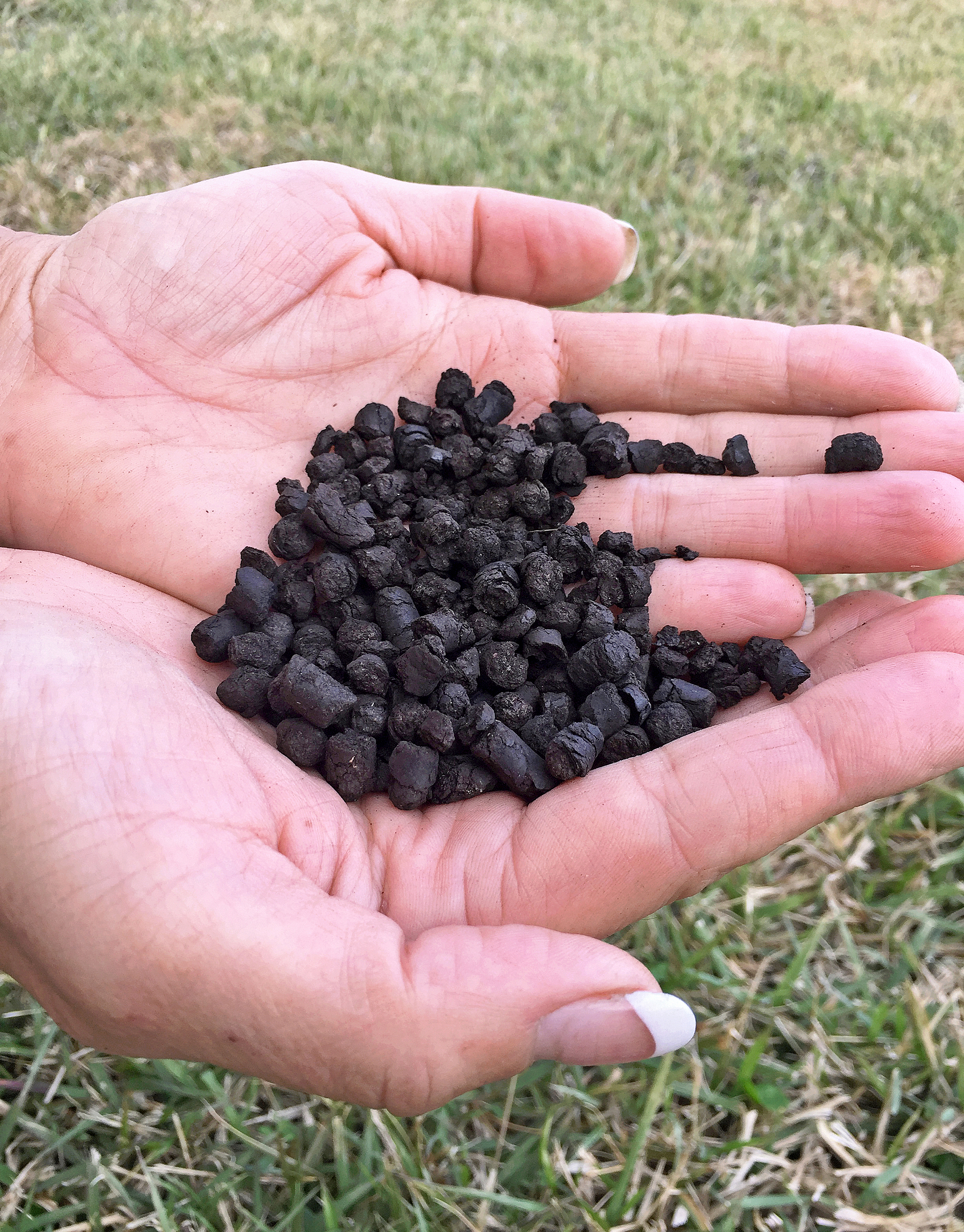 A pair of hands holds dark, grey-black pellets of biochar.