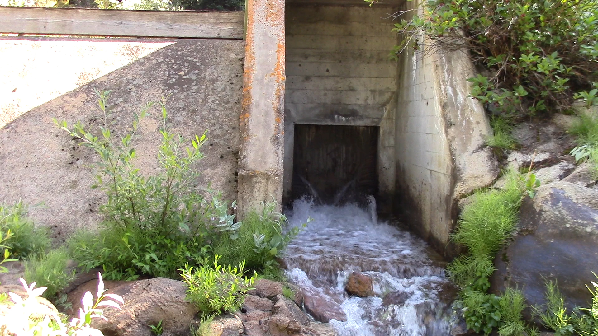 In early August, Denver Water released an additional 40-million gallons of water from its diversions into Ranch Creek over a 10-day span. 