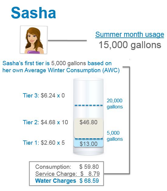 This example shows what a customer bill would look like if their average winter consumption was 5,000 gallons and they used an additional 10,000 gallons one month. 