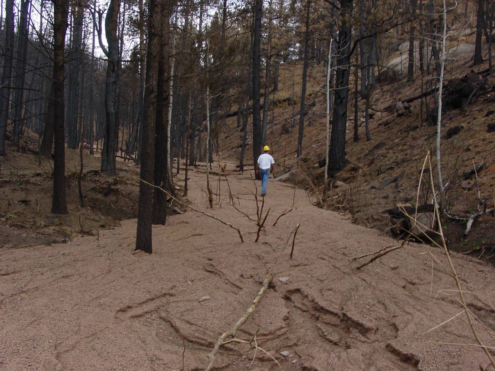 Large amounts of sediment end up in drainages around Cheesman Reservoir due to the Hayman Fire of 2002. Photo credit: Denver Water.
