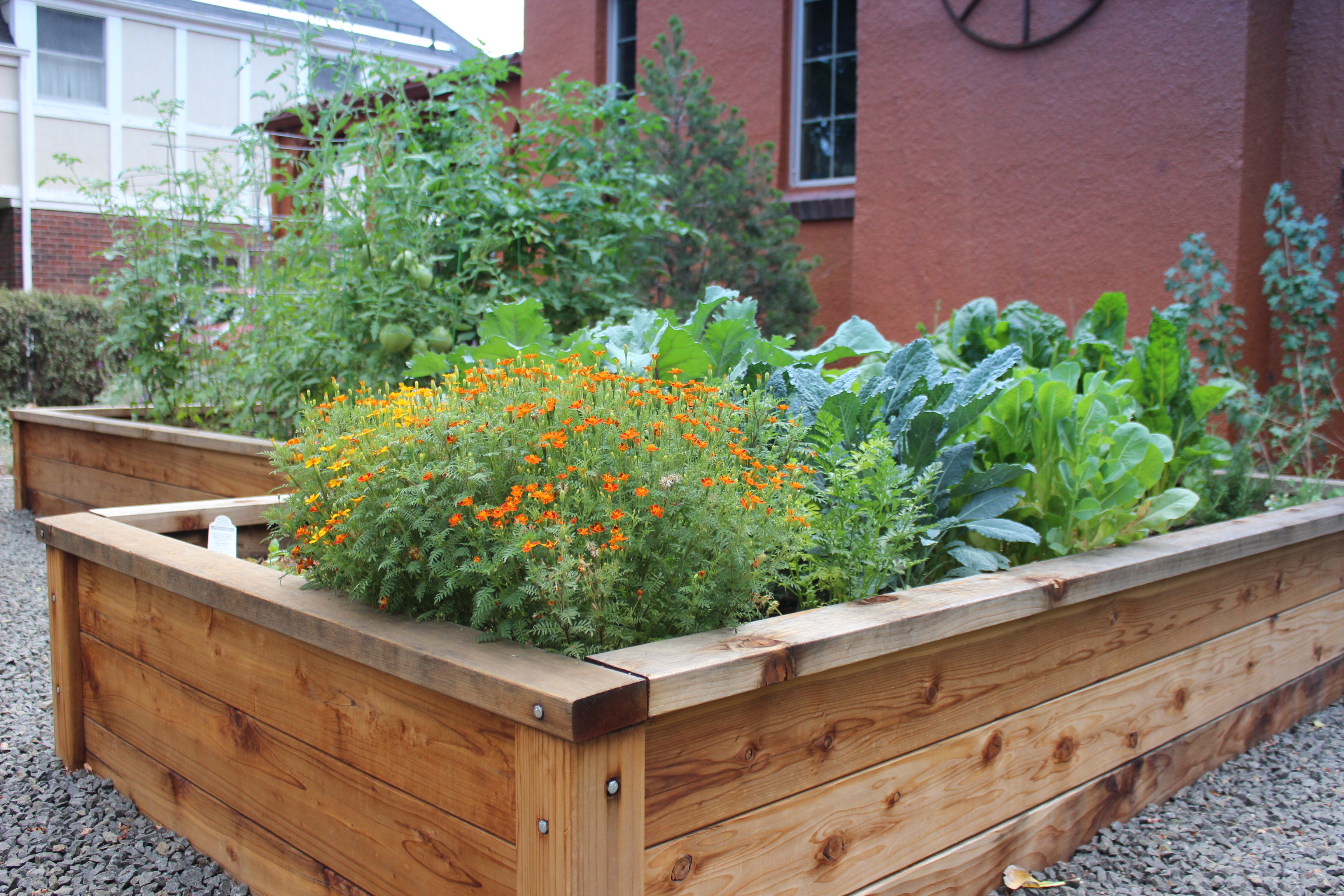 Dinsmore's raised garden beds are proof that a veggie garden can be both beautiful and bountiful.